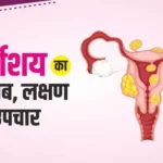 Uterus Meaning in Hindi गर्भाशय क्या है लक्षण एवं उपचार की जानकारी