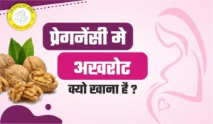 Blog Akhrot Fruit in Pregnancy अखरोट खाने के जबरदस्त फायदे