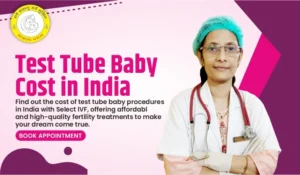 Blog How Much Does Test Tube Baby Price in India in 2025