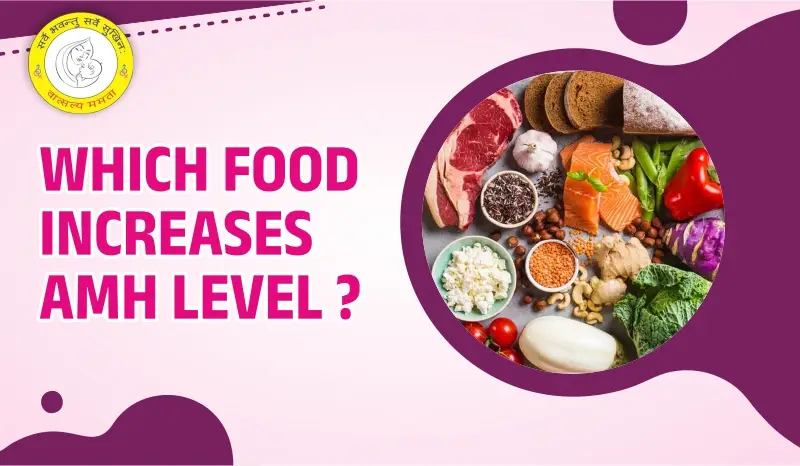 Which Food Increases AMH Level Best Diet for Women’s Fertility